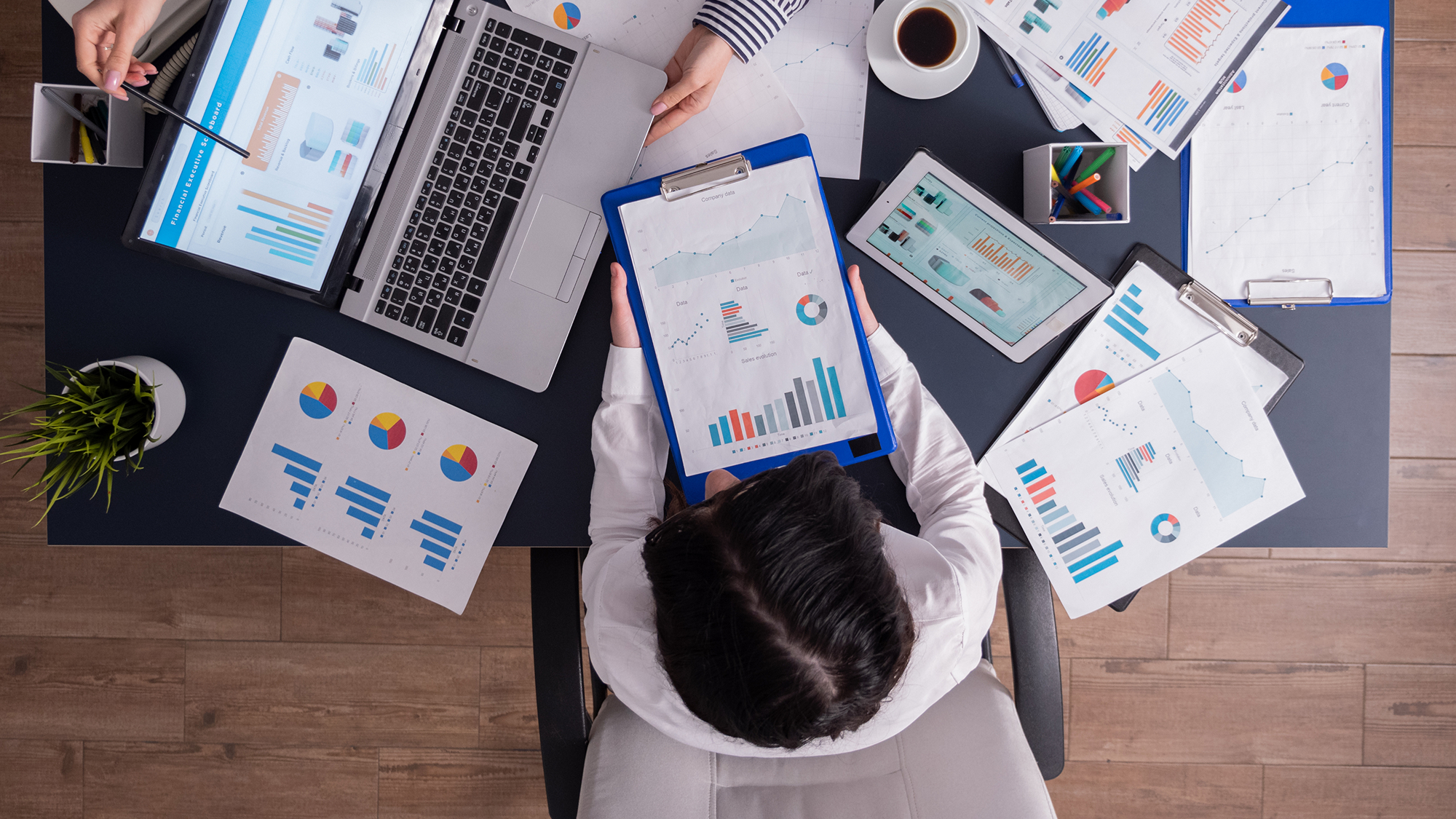 Data Analyst